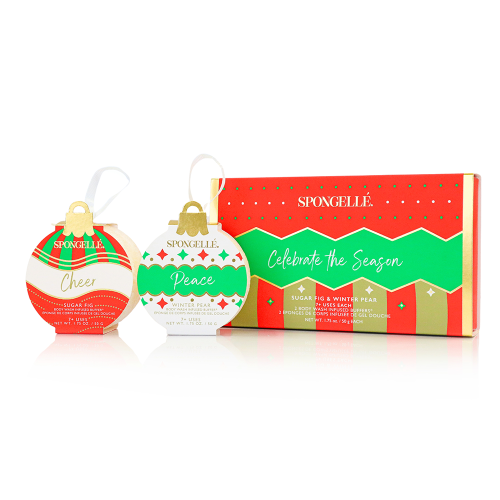 Celebrate the Season | Holiday Ornament Gift Set – main product image
