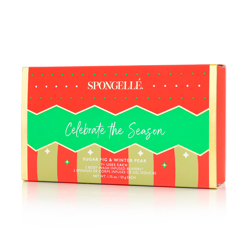 Celebrate the Season | Holiday Ornament Gift Set – alternate view 4