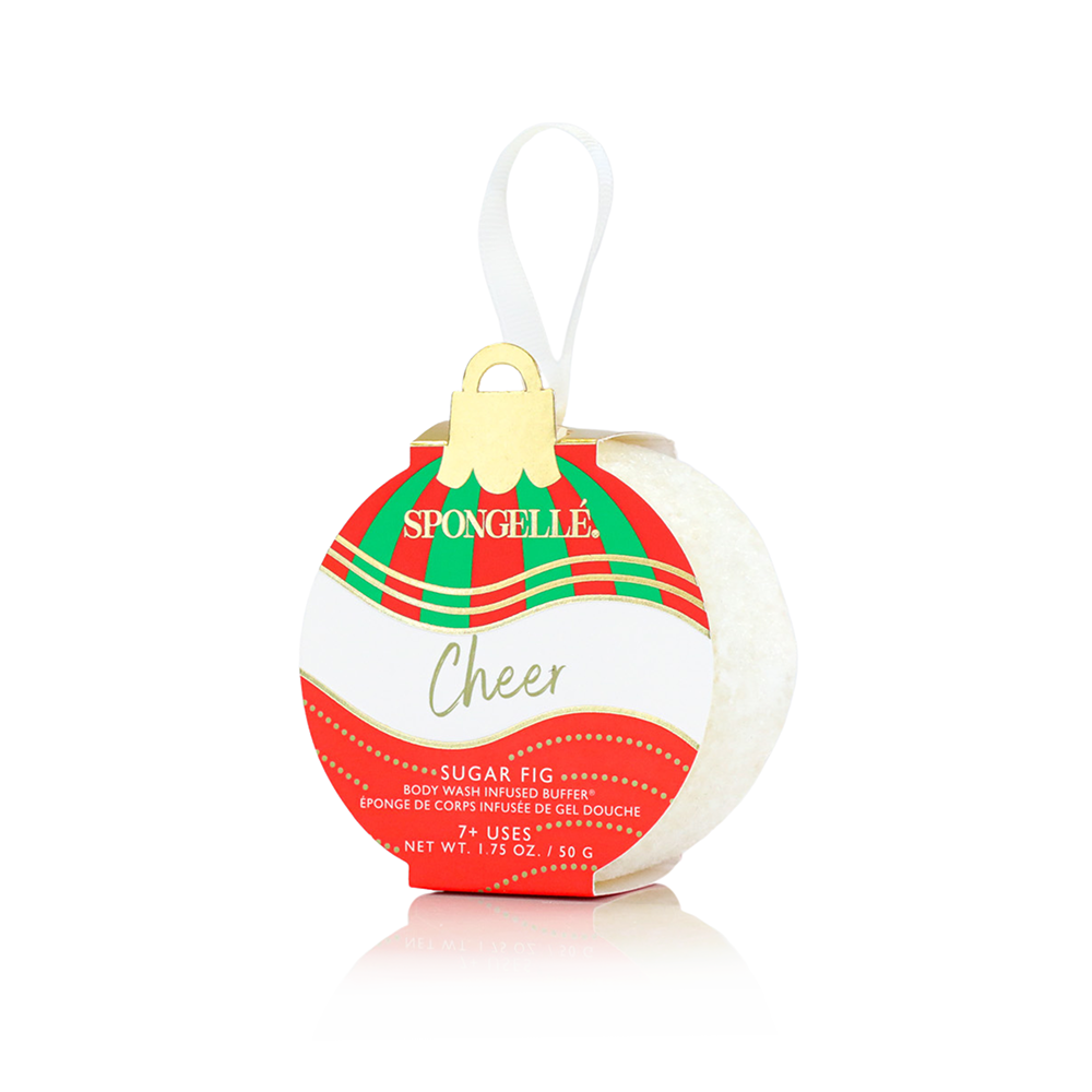 Celebrate the Season | Holiday Ornament Gift Set – alternate view 6