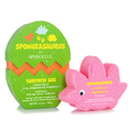 Stegosaurus Dinosaur Buffer – main product image
