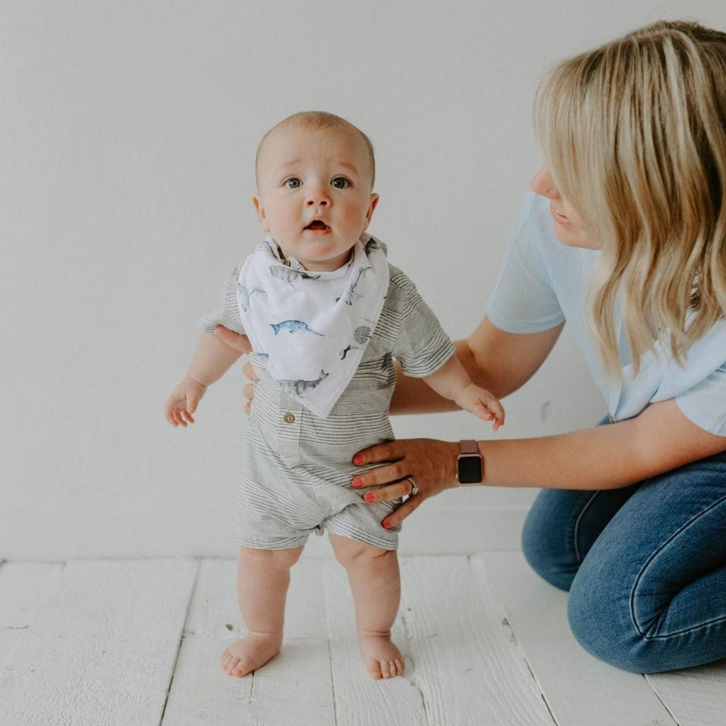 Arctic Bandana Bib Set (8 pack) – alternate view 4