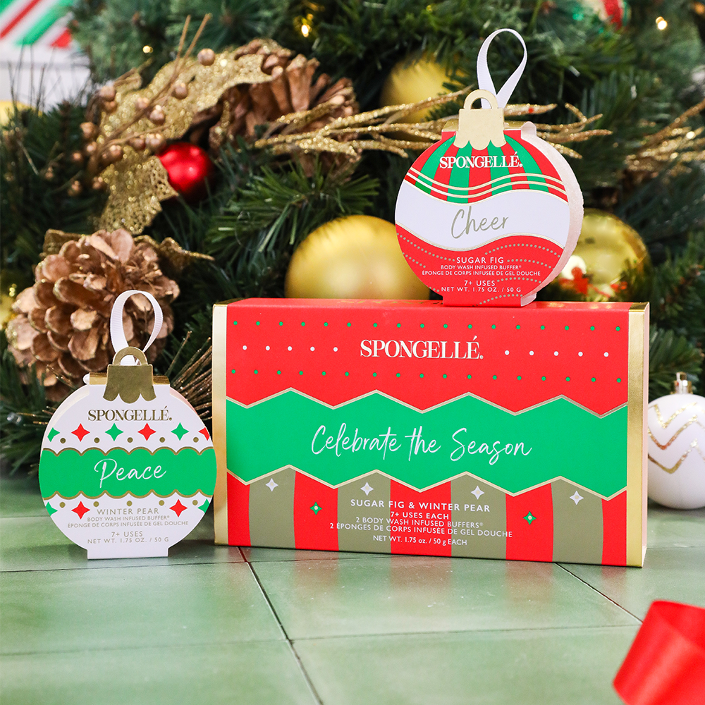 Celebrate the Season | Holiday Ornament Gift Set – alternate view 2